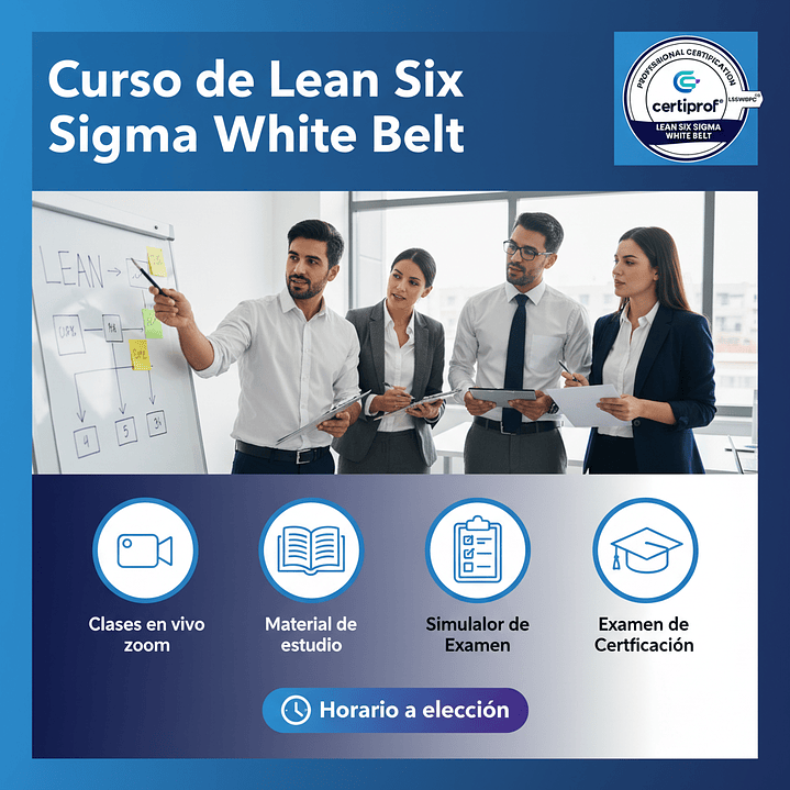 Curso de Lean Six Sigma White Belt  (Incluye examen de certificación) 1