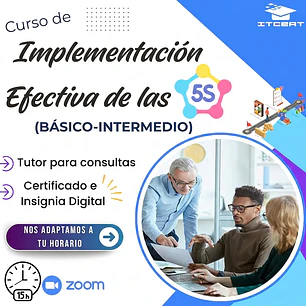Curso de Implementación Efectiva de las 5S (Básico-Intermedio)