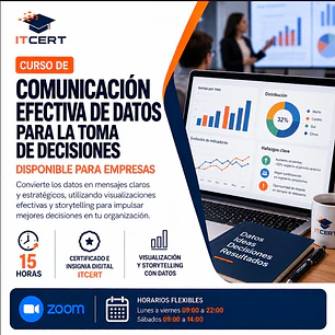 Curso de Comunicación Efectiva de Datos para la Toma de Decisiones