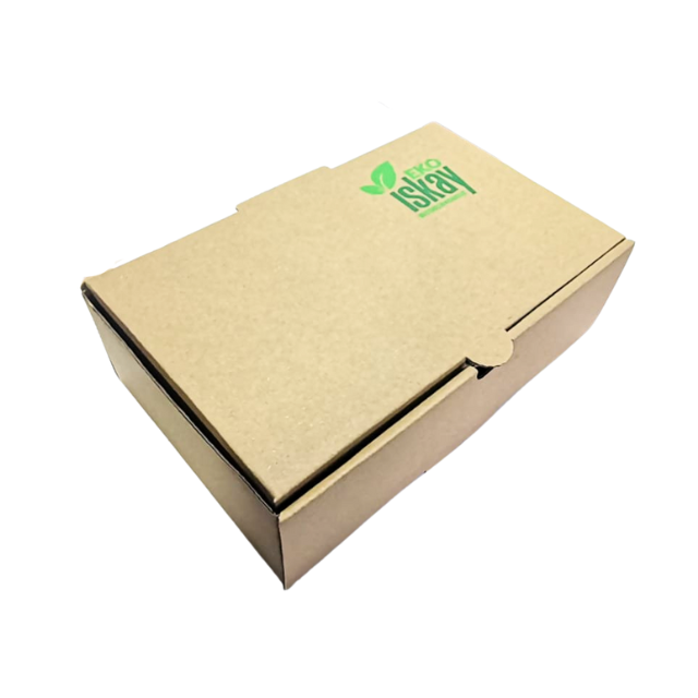 Caja 22X14X7 CM Delivery