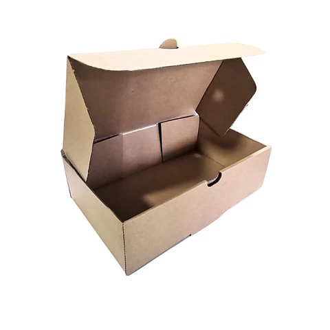 Caja 22X14X7 CM Delivery