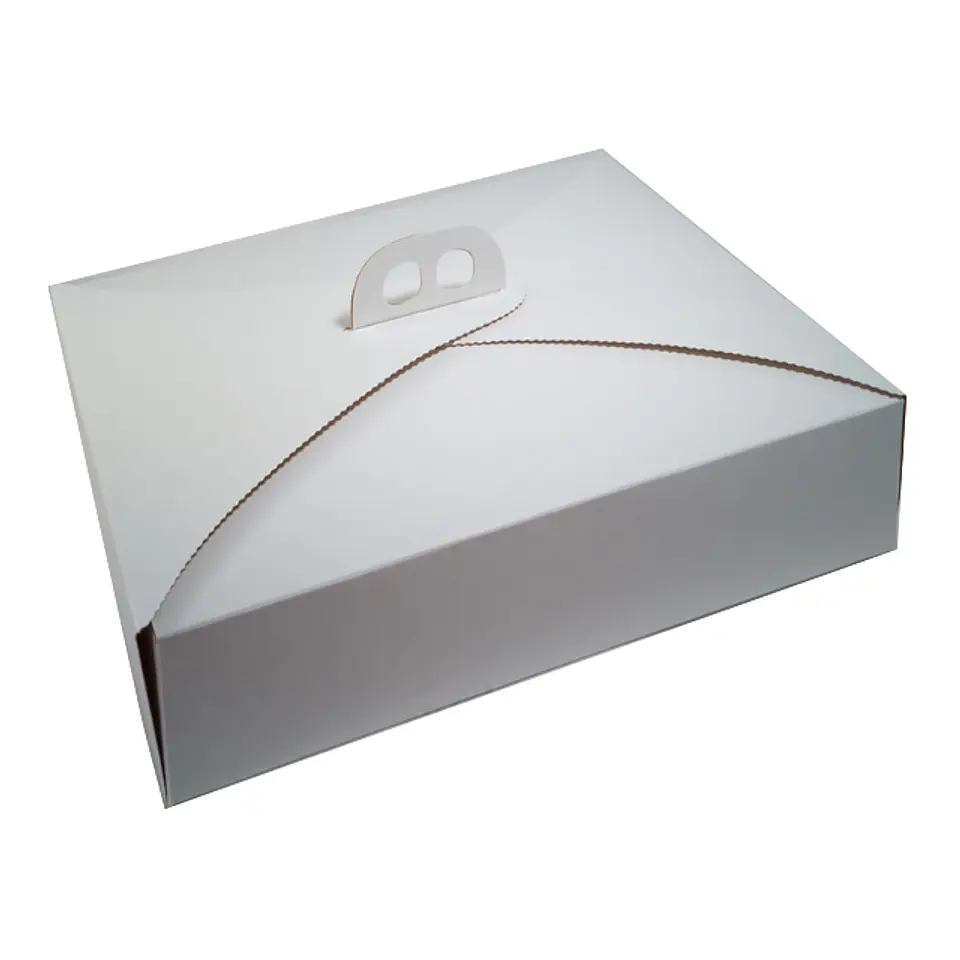 Caja Torta Gigante 1