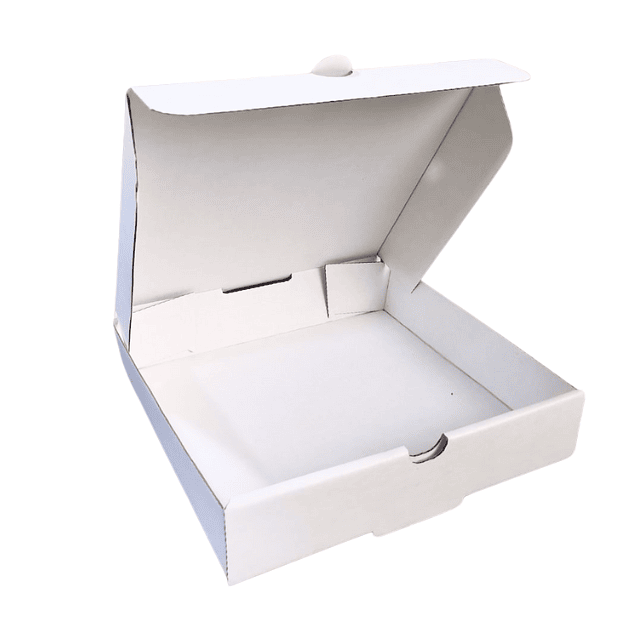 Caja 18x18x4 cm Individual 