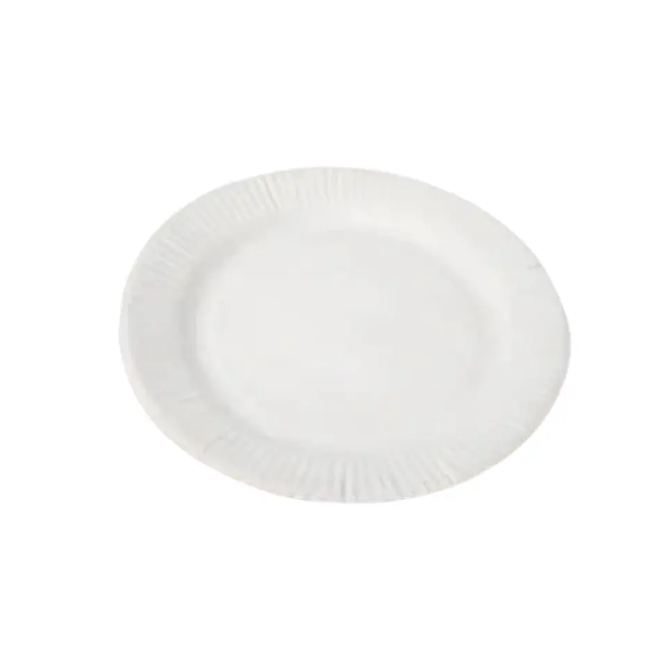 Plato Cartulina N 1