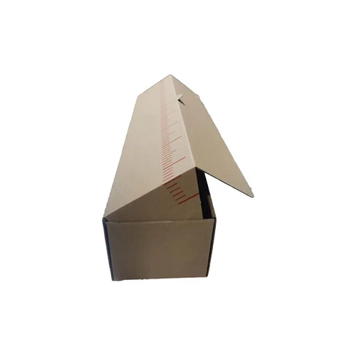 Caja 51X12X10 cm Churrasco 1/2 Metro