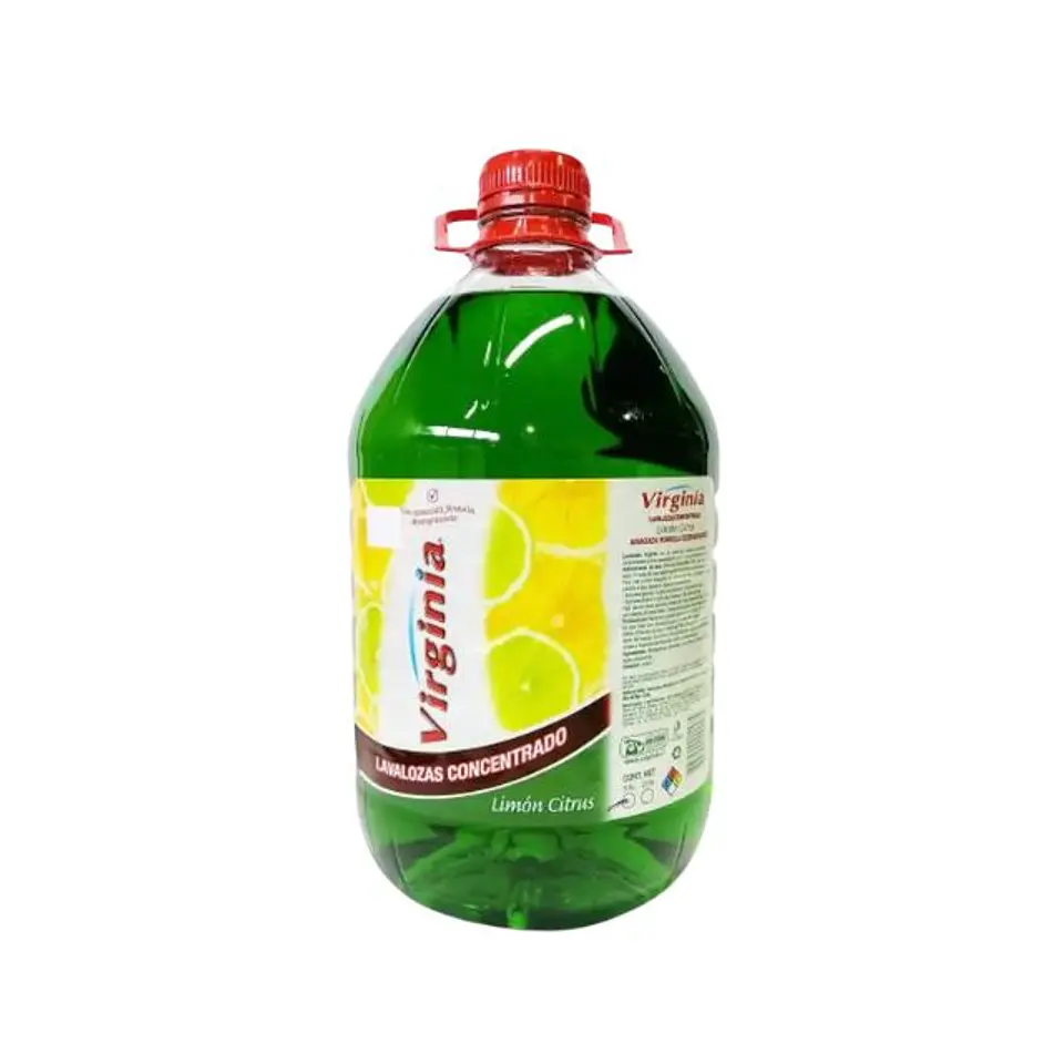 Lavalozas 5 lt Concentrado 1