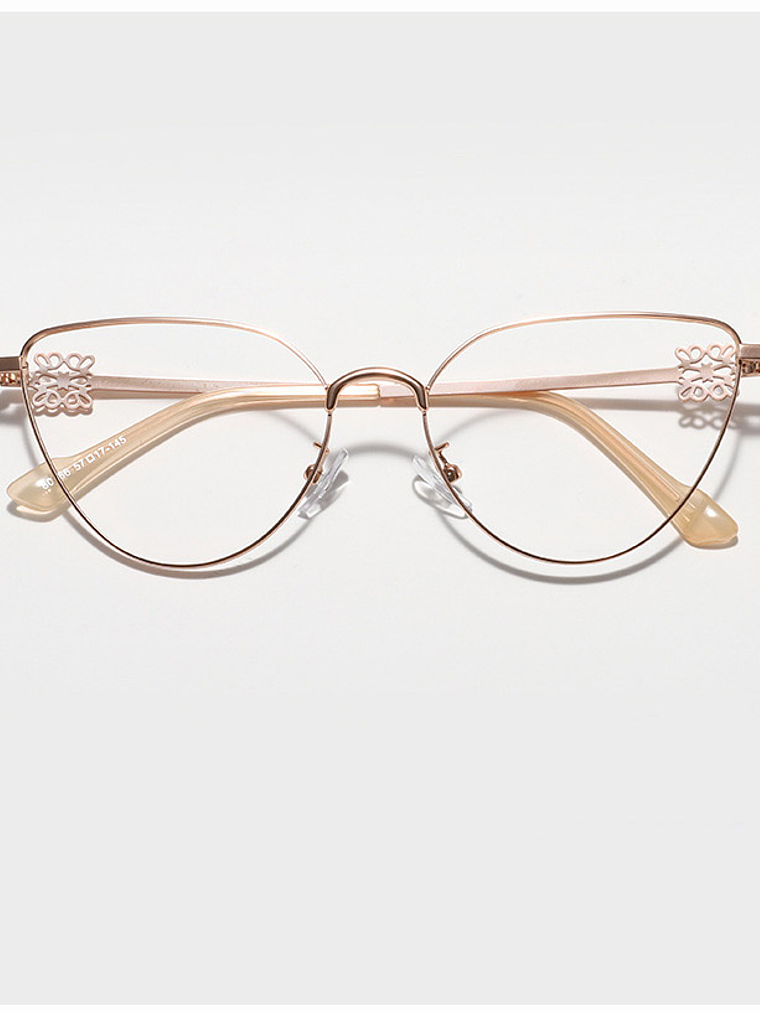 Eyeglass frame 1