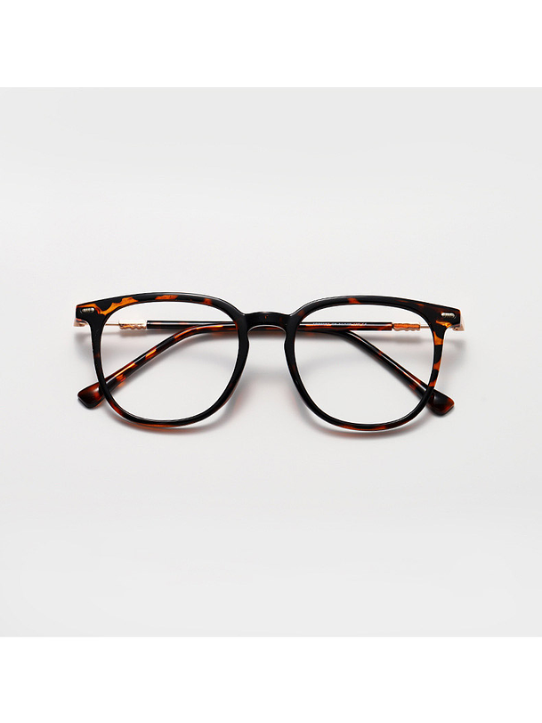 Armação A100-021 1