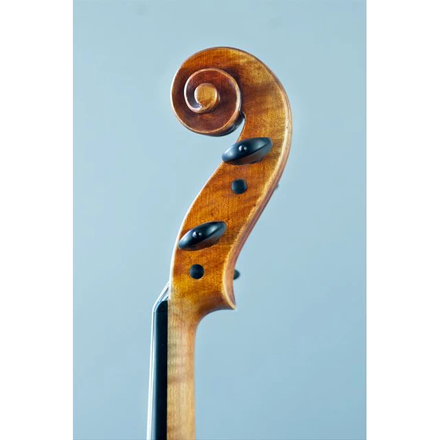 Viola 16'' Profesional Scott Cao 750 