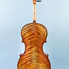 Viola 16'' Profesional Scott Cao 750 