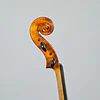 Viola 16,5'' Semi-Profesional Scott Cao 17 