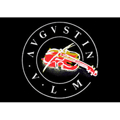 AUGUSTN VLM