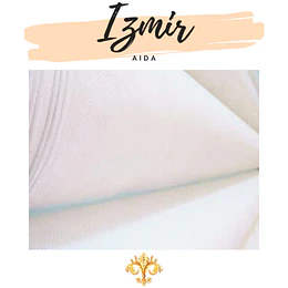AIDA