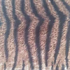 POLIVISCOSA ANIMAL PRINT