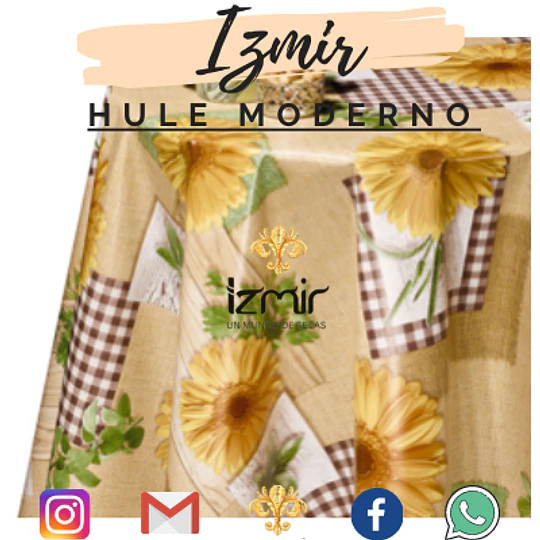 HULES MODERNOS