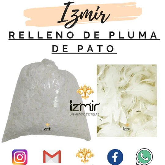 PLUMA DE PATO