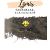 TACHUELAS 