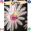 SOFIA ESTAMPADOS 1