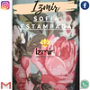 SOFIA ESTAMPADOS 1