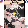 SOFIA ESTAMPADOS 1