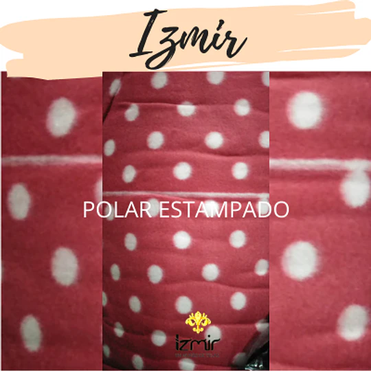 POLAR MOTIVOS 1
