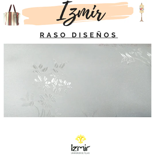 RASO DISEÑOS