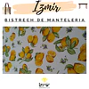 BISTRECH DISEÑOS DE MANTELERIA 2