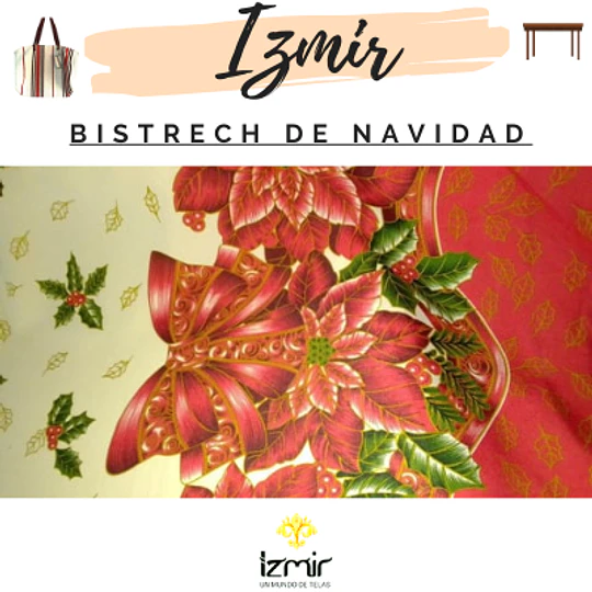 BISTRECH NAVIDEÑOS  1 