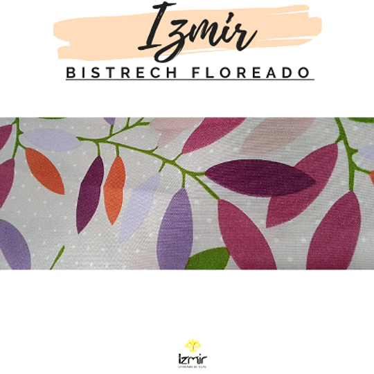 BISTRECH FLOREADOS 3