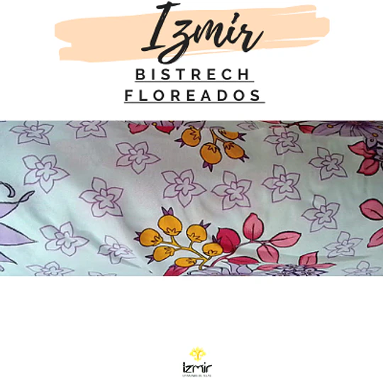 BISTRECH FLOREADOS 3