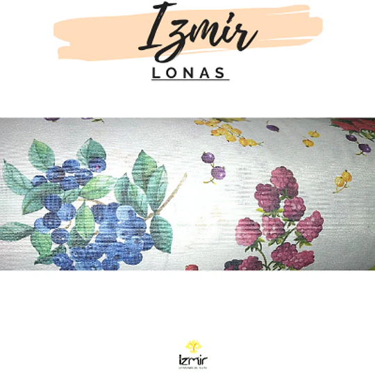 LONETAS DOBLE ANCHO 3 NUEVAS