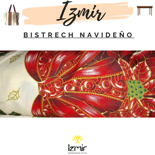 BISTRECH NAVIDEÑOS 2 NUEVOS