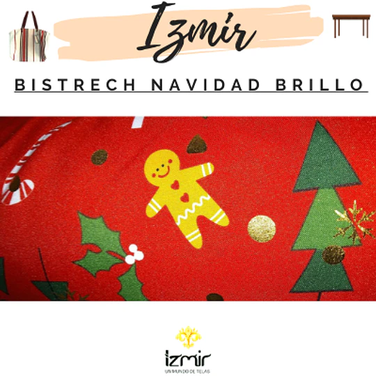 BISTRECH NAVIDEÑOS CON BRILLO