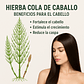 Shampoo Cola de Caballo para Cabello Obopekal 500 gr  - Miniatura 6
