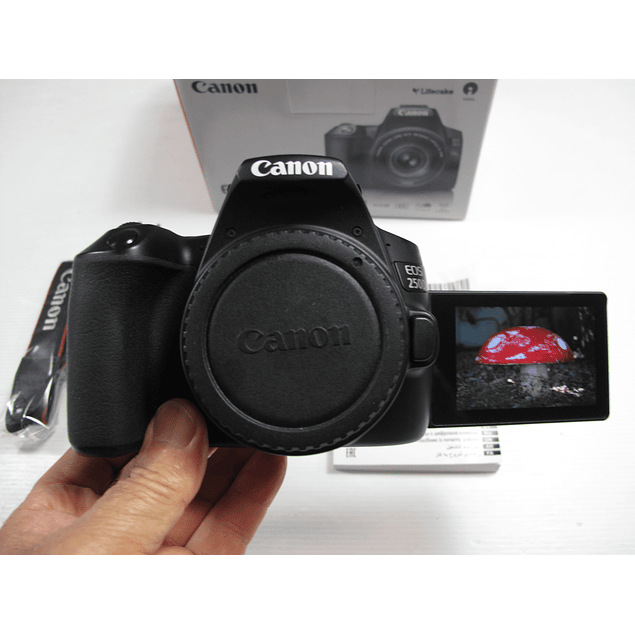 Canon 250D TOP vídeo 4K - RESERVADA -Tudo original na Caixa - Ver descrição