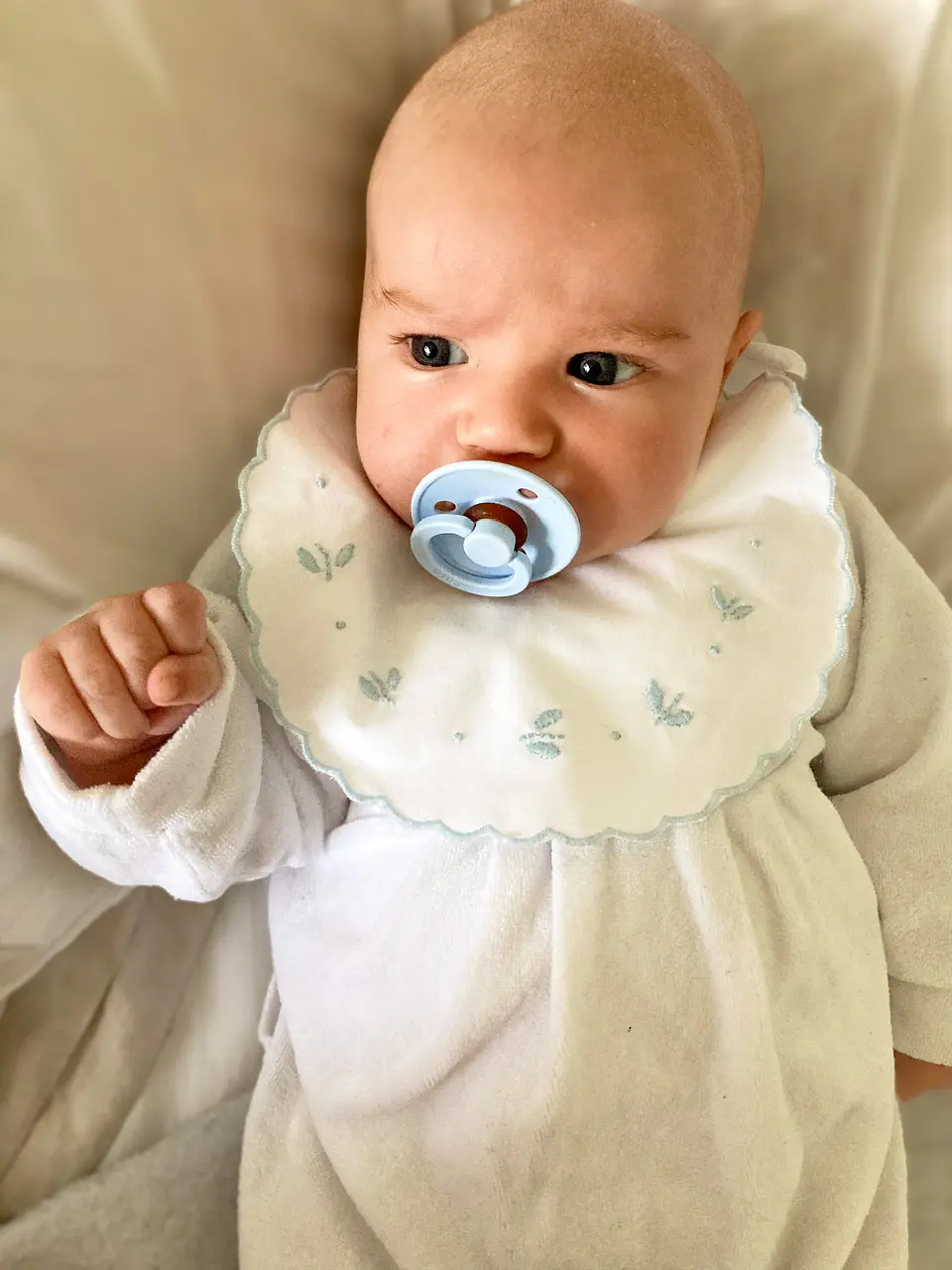 Babero Abejas Celeste 3