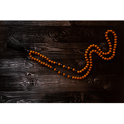 Japa Mala Semillas Sagradas Rudraksha