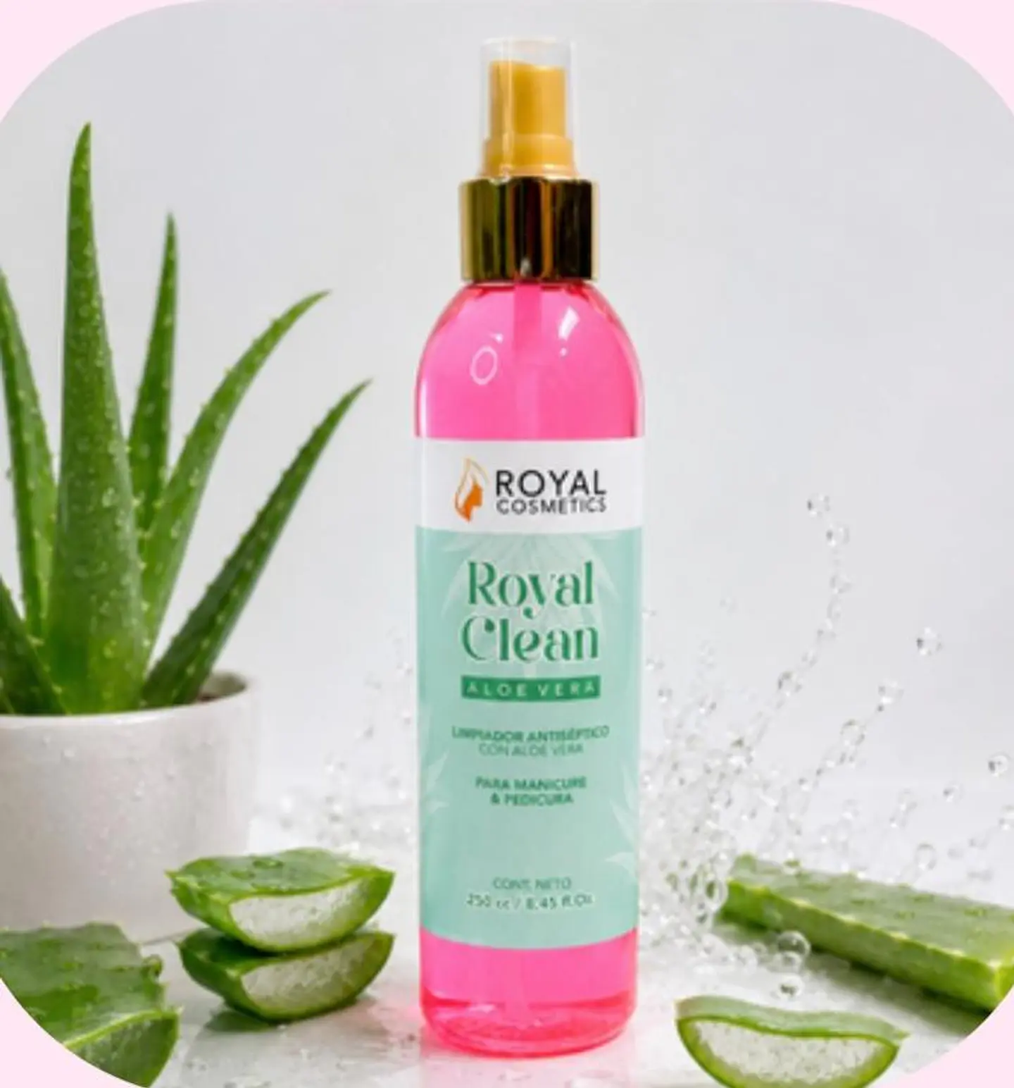 ROYAL CLEAN 1