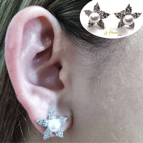 Joyería Mujer Joya Accesorio Pendiente Arete Zarcillo Areta DJA192