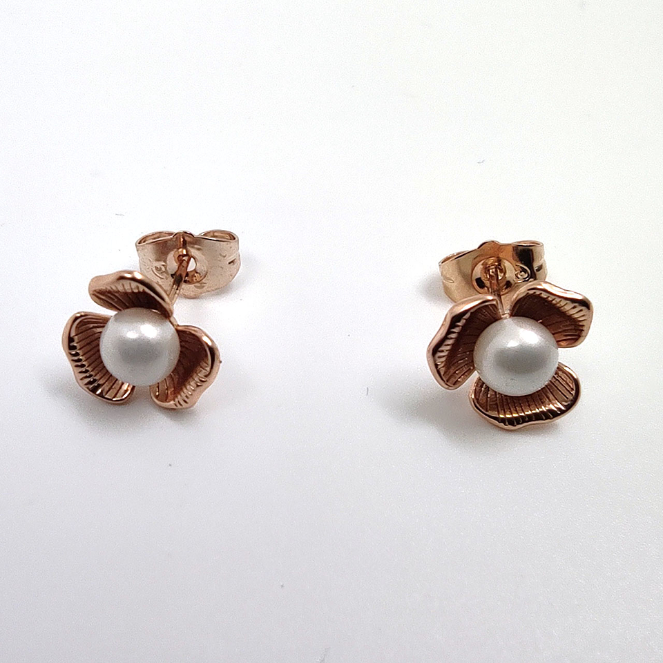 Joyería Mujer Joya Accesorio Pendiente Arete Zarcillo Areta DJA785 1