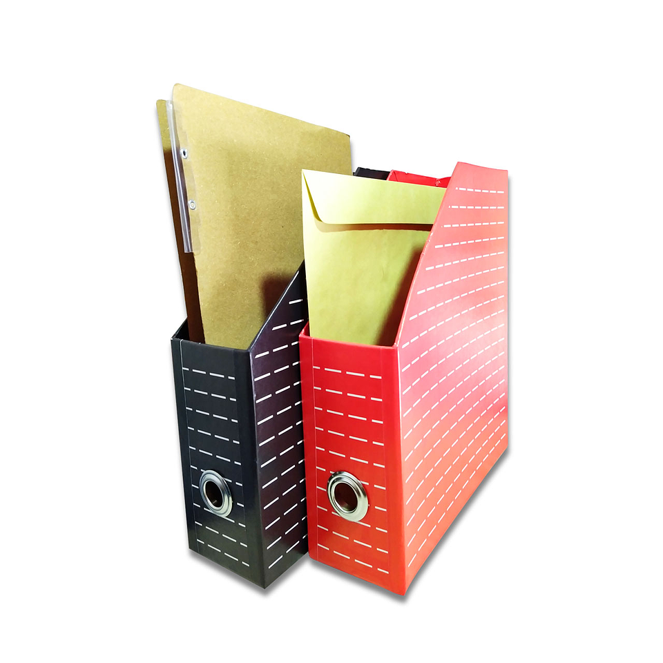 Revistero X2 Cartón Oficina Papelería Organizador 1