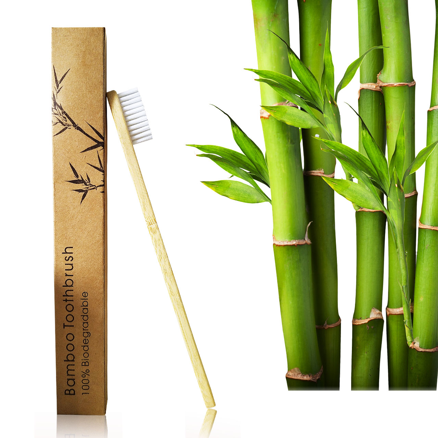 Cepillos Dientes Bamboo X6 Biodegradable Higiene Oral  1