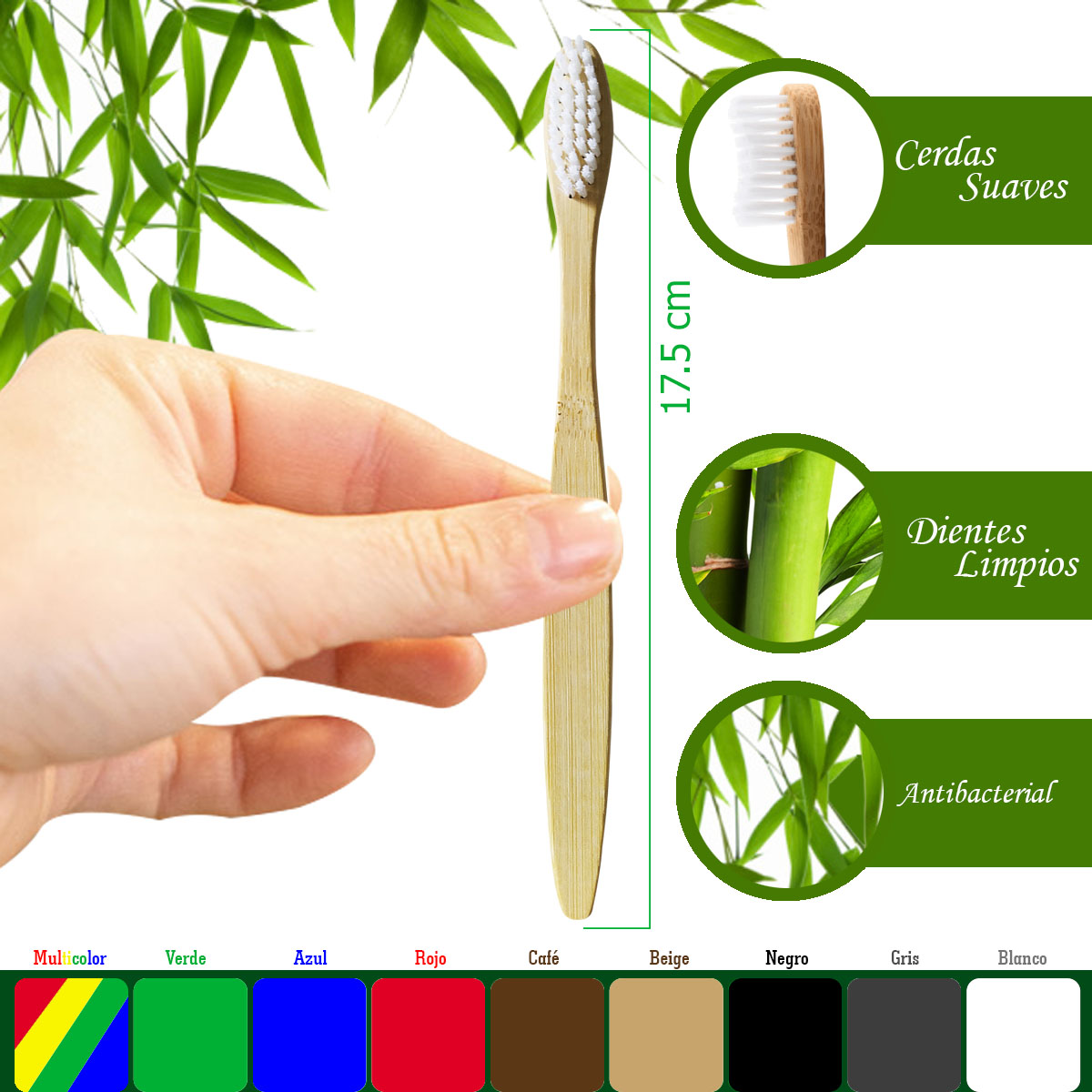 Soporte de bambú para cepillo de dientes. Ecodonti. 100% biodegradable.