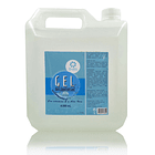 Gel Antibacterial Áloe Vera 4.000 ML Medicinal Alcohol Avaleis 3