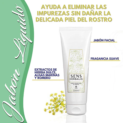 JABÓN LÍQUIDO SENS HERBALIS ROSTRO HND PIEL HINODE