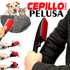 CEPILLO PELUSA HOGAR QUITA MOTAS  2