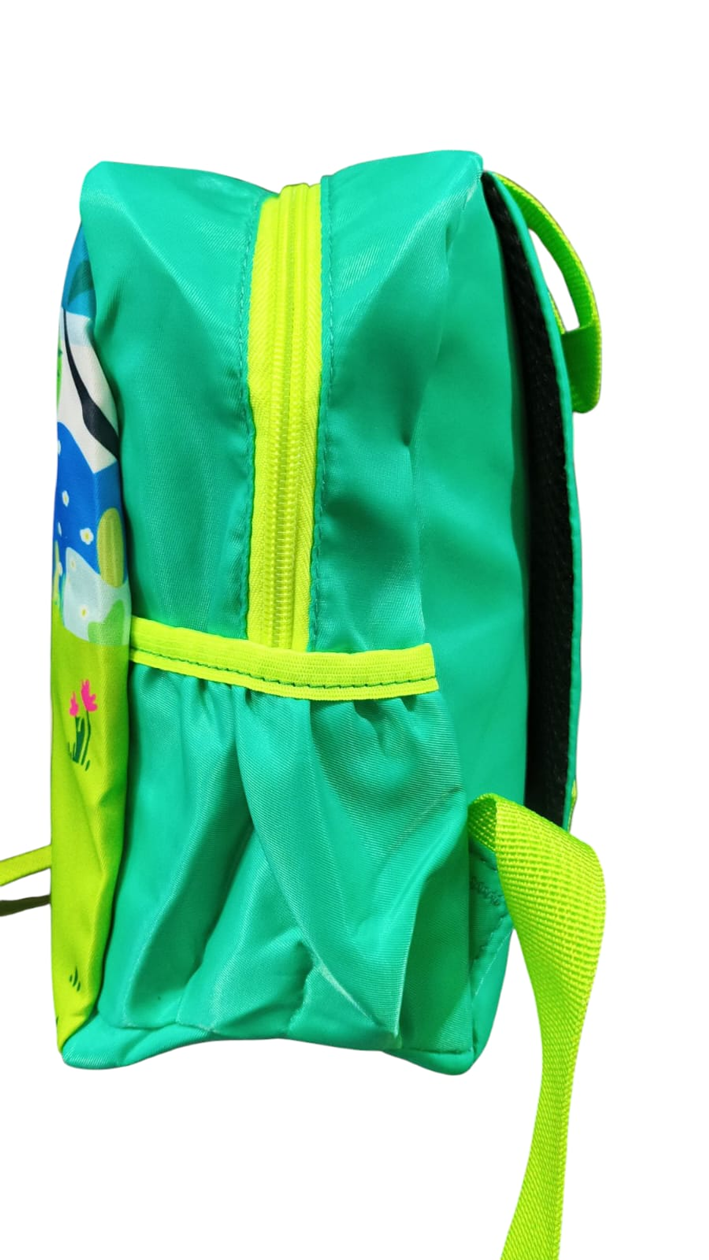 BOLSO DINOSAURIO NIÑOS 4