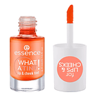 TINTA PARA LABIOS WHAT A TINT  3