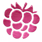 JUICY BERRY TINTED LIP CHEEK ESSENCE 3