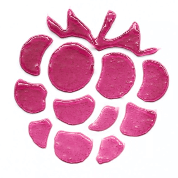 JUICY BERRY TINTED LIP CHEEK ESSENCE 3